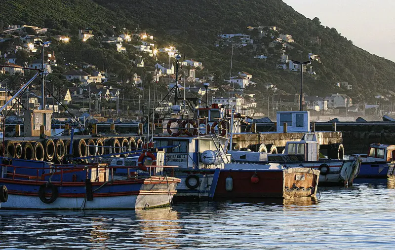 Kalk Bay harbor in Cape Town at dusk: colorful fishing boats docked with green hillside village backdrop.