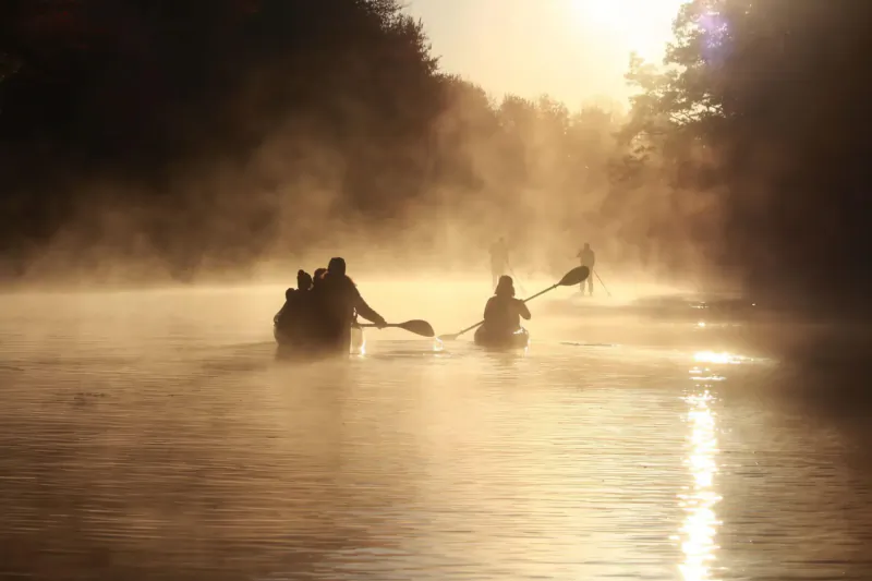 Silhouetted group kayaking on misty river at golden sunset, surrounded by trees.