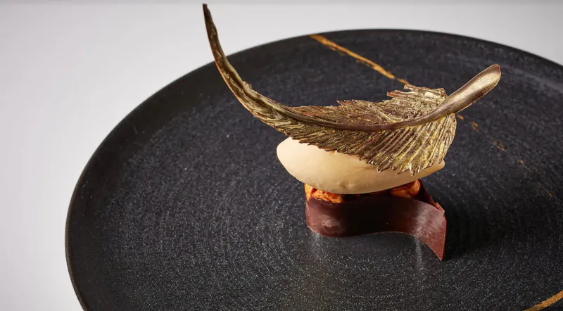 Close-up of elegant dessert on black plate: beige mousse on chocolate base, topped with feather-like garnish