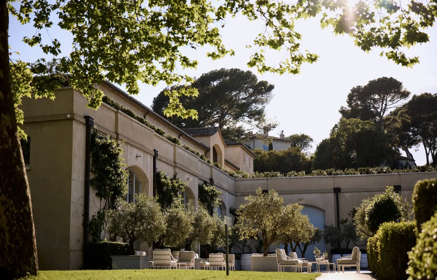 Emma Blunt walks through lush vineyard vines at Château Léoube in Provence, surrounded by trees and a beige mansion.