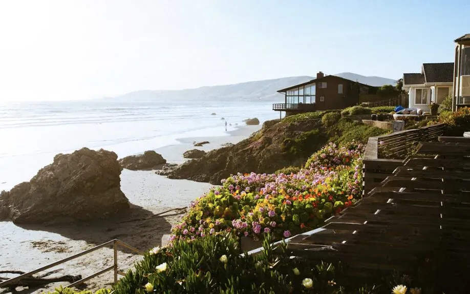 Coastal homes perched on cliffs above rocky beach with colorful flowers, ocean waves, and distant hills.