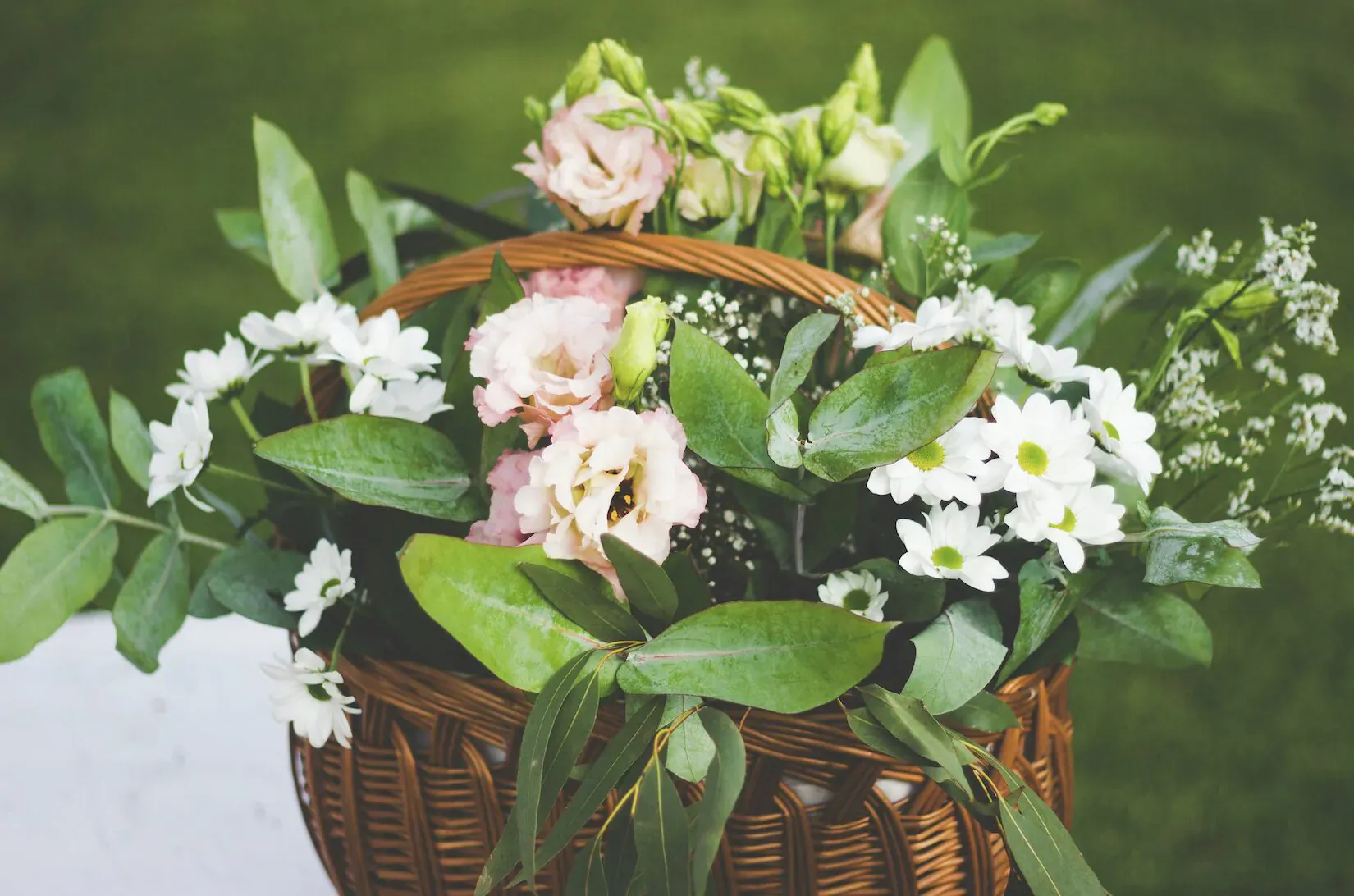 Wicker basket overflowing with pink roses, white daisies, greenery on green lawn backdrop