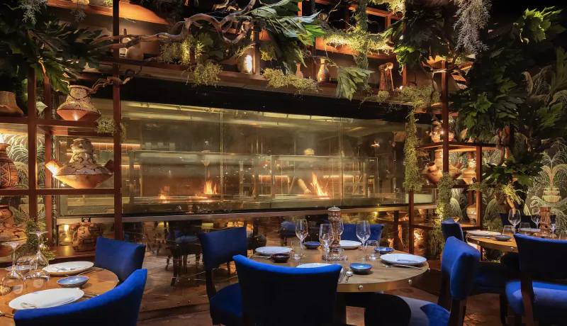 Elegant Wonderland-themed dining room at Coya Mayfair with lush plants, blue chairs, set tables, and glowing kitchen behind glass.