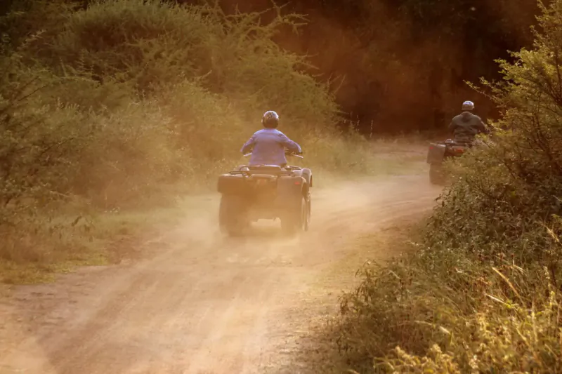 Two riders on ATVs kicking up dust on a dirt trail through golden bushland at sunset.
