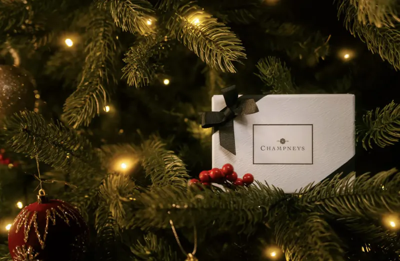 White Champagnes gift box with black ribbon on lit Christmas tree with ornaments and berries