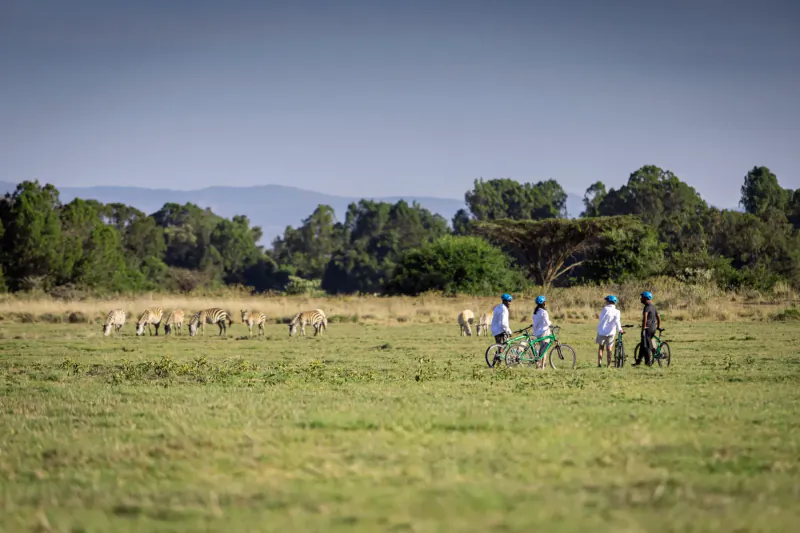 Group with bikes and helmets stands amid grazing wildebeests on grassy savanna with acacia trees and Mount Kenya hills in luxury safari setting