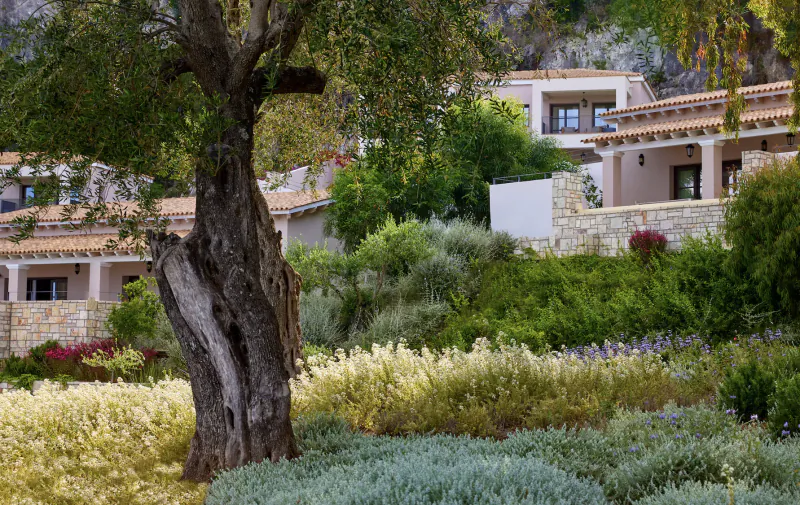 Angsana Corfu Resort and Spa: white villas nestled in lush Mediterranean gardens with olive tree and hillside greenery