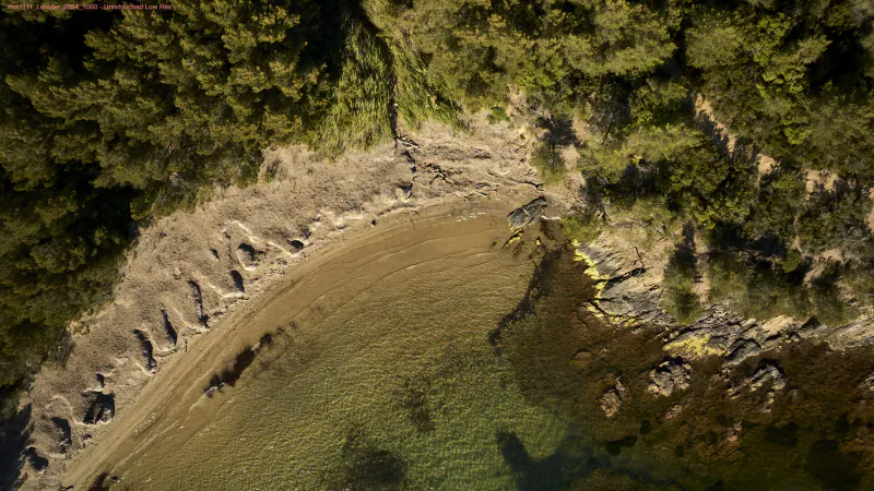 Aerial view of a curved sandy beach with clear turquoise waters and lush green trees at Léoube Estate.