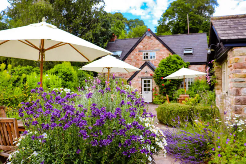 Tudor farmhouse boutique hotel with white parasols, purple flowers, lush gardens, and stone walls in Forest of Dean.
