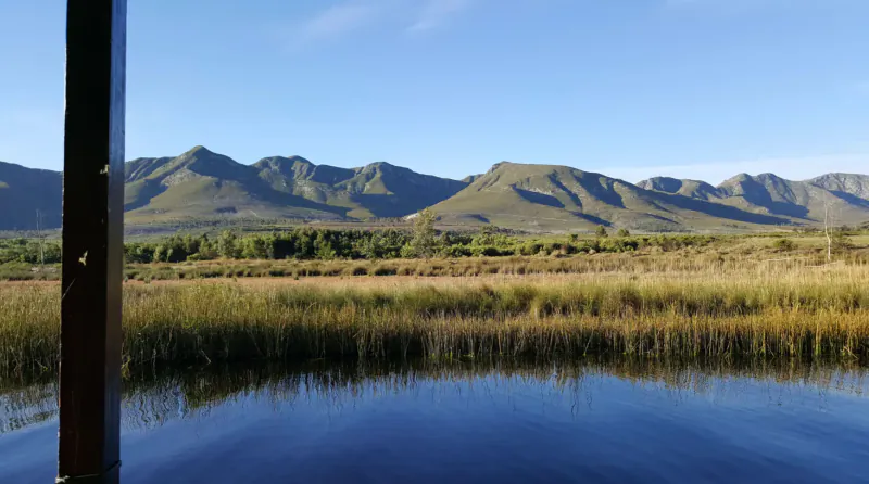 View from Lady Stanford Cruise: Klein River with reeds reflecting blue water and distant green mountains under clear sky.