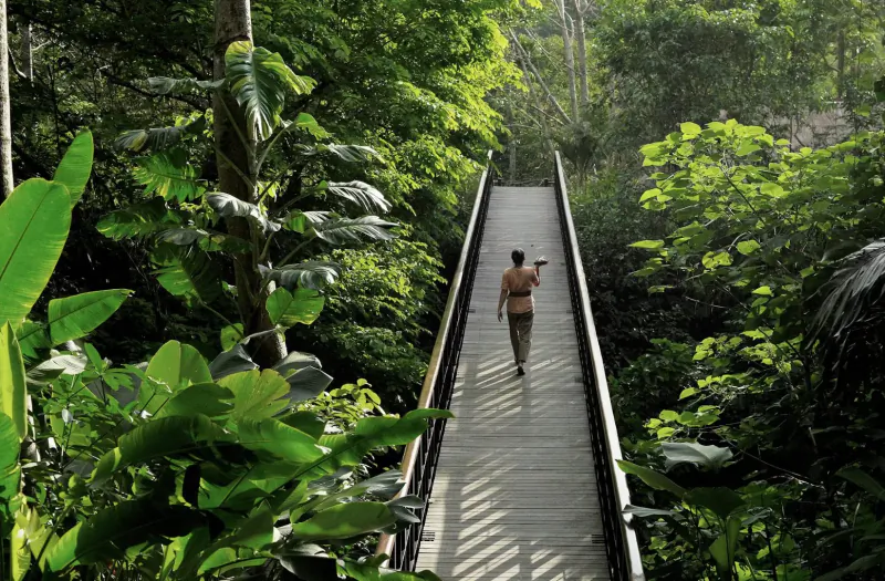 Person in swimsuit walks away on wooden bridge through lush rainforest, Ayung River area, Bali