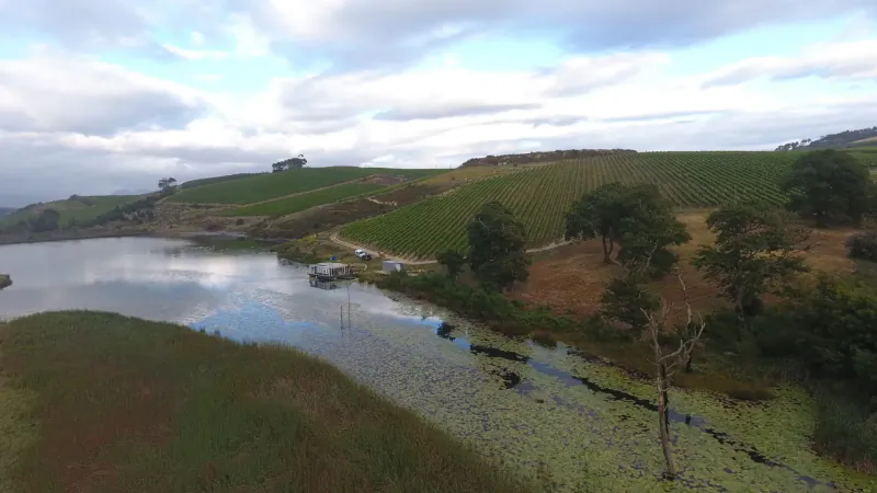 Aerial view of South Hill Vineyards: rolling green hills with vineyards, lake with lily pads, and docks under cloudy sky.
