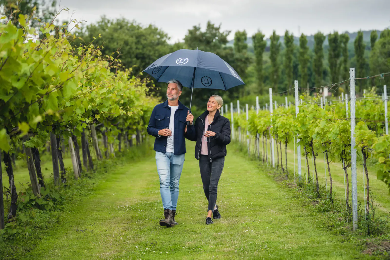 Elderly couple walking hand-in-hand under blue umbrella in Llanerch vineyard, surrounded by green vines.