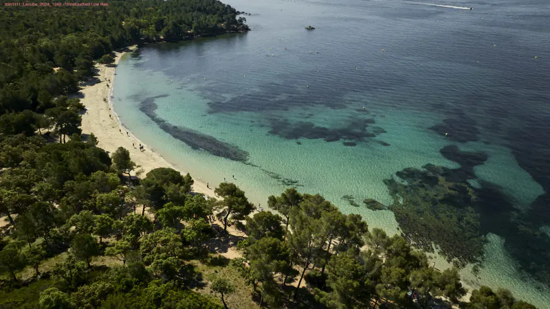 Aerial view of Léoube Estate's sandy beach bay with turquoise waters, pine trees, and distant boat.
