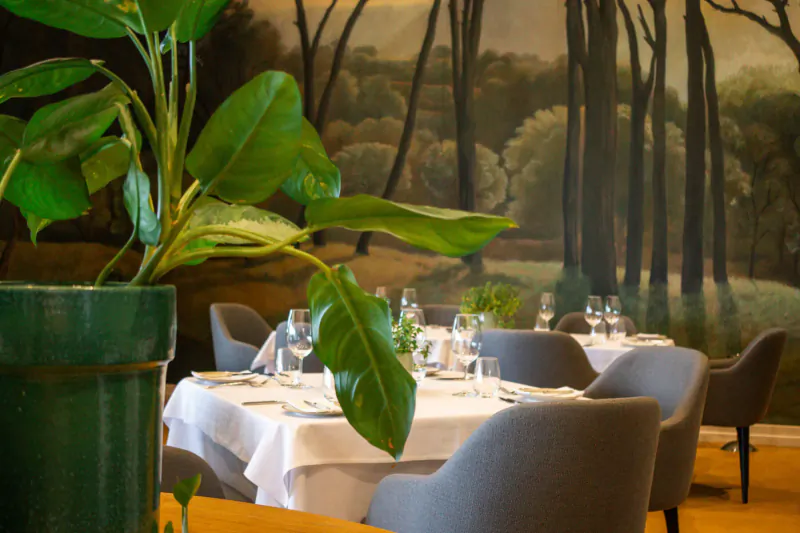 Close-up of green plant in pot on elegantly set white-clothed table with wine glasses, chairs, and forest mural backdrop