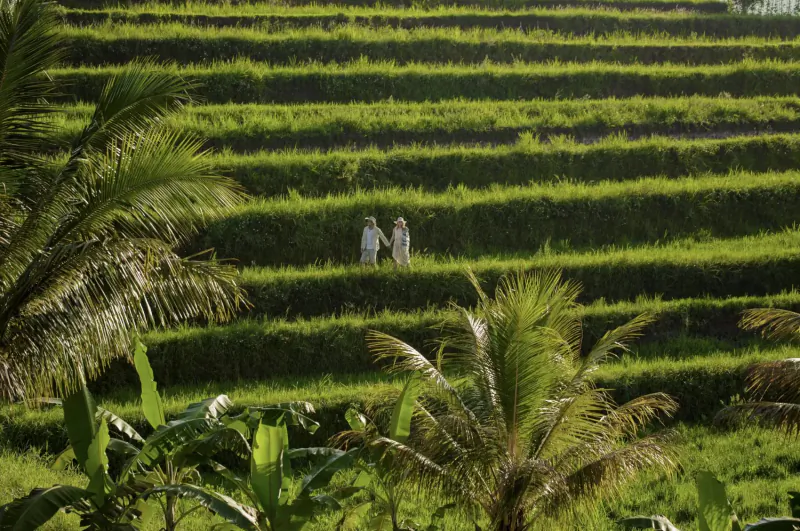 Two women in white stand hand-in-hand on lush green terraced rice fields in Bali, surrounded by palm trees