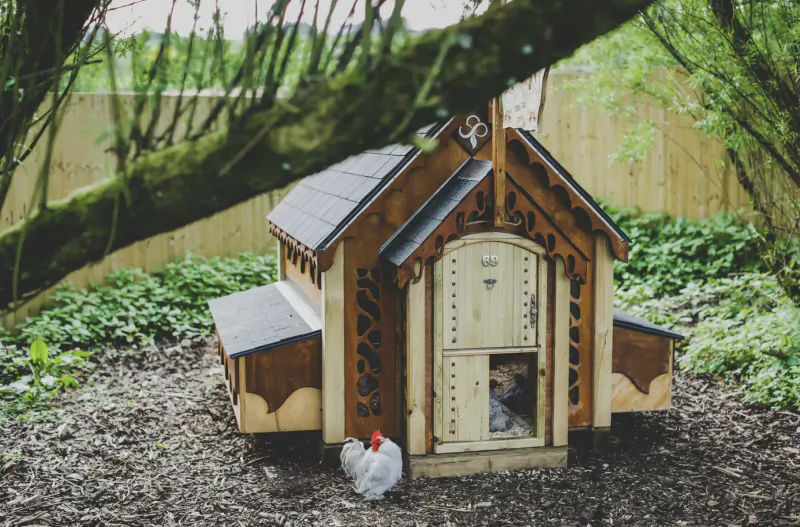 Ornate wooden chicken coop with cross motif in lush garden, red and white hen outside open door.