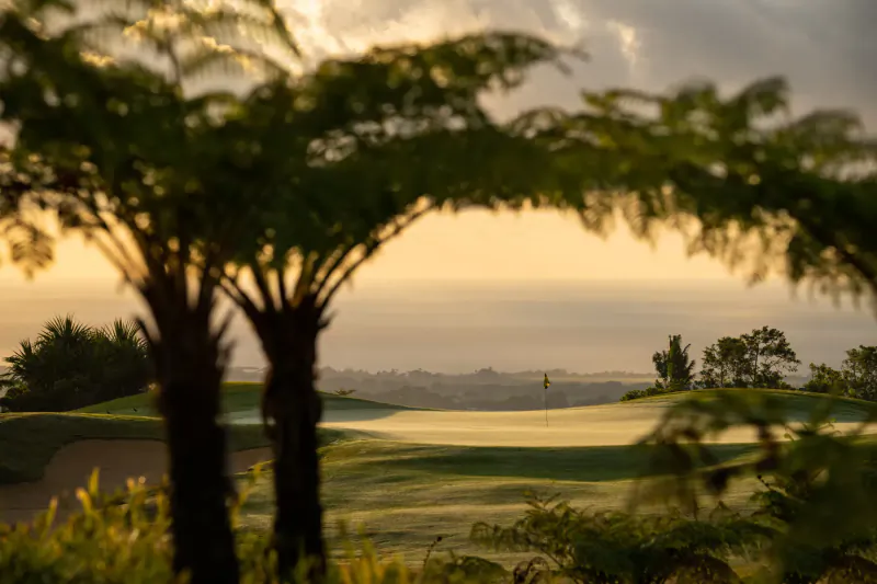 Framed by palm fronds, lush Avalon Golf Estate course at golden hour sunset in Mauritius