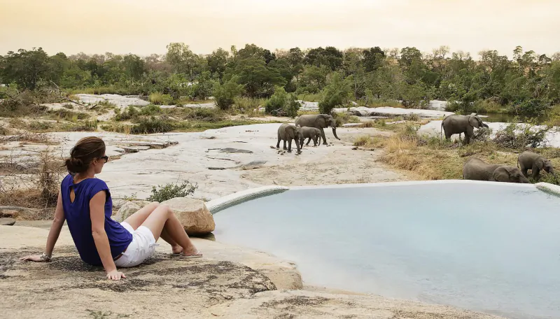 Woman in purple top and white shorts sits by blue waterhole, watching elephants in African savanna at sunset.