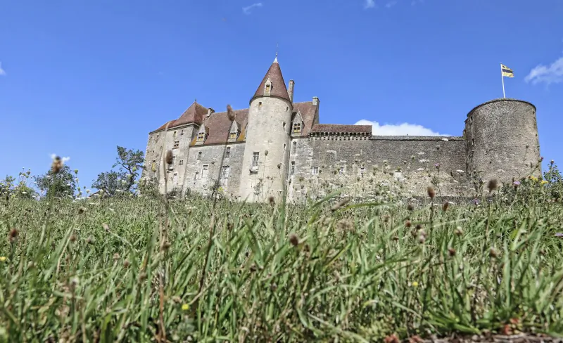 Medieval stone castle with red conical roofs and flag, atop hill amid green wildflowers, Burgundy France