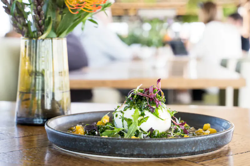 Close-up of burrata salad with greens and mango on dark plate, beside glass vase with orange flowers on wooden table in restaurant.