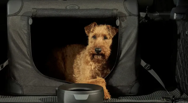 Fluffy fox terrier lounging in black portable dog crate in car trunk with water bowl nearby.