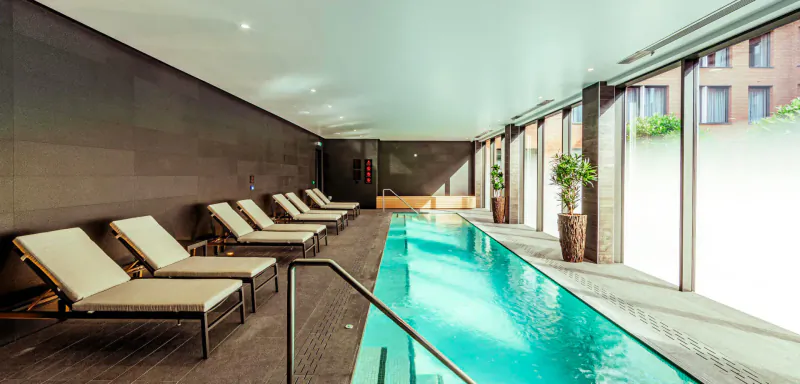 Luxury indoor pool at The Fellows House Cambridge with white loungers, plants, and large windows.