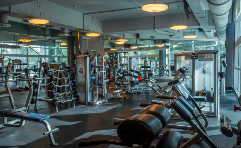 Modern gym interior with weight machines, benches, racks, large windows, and pendant lights