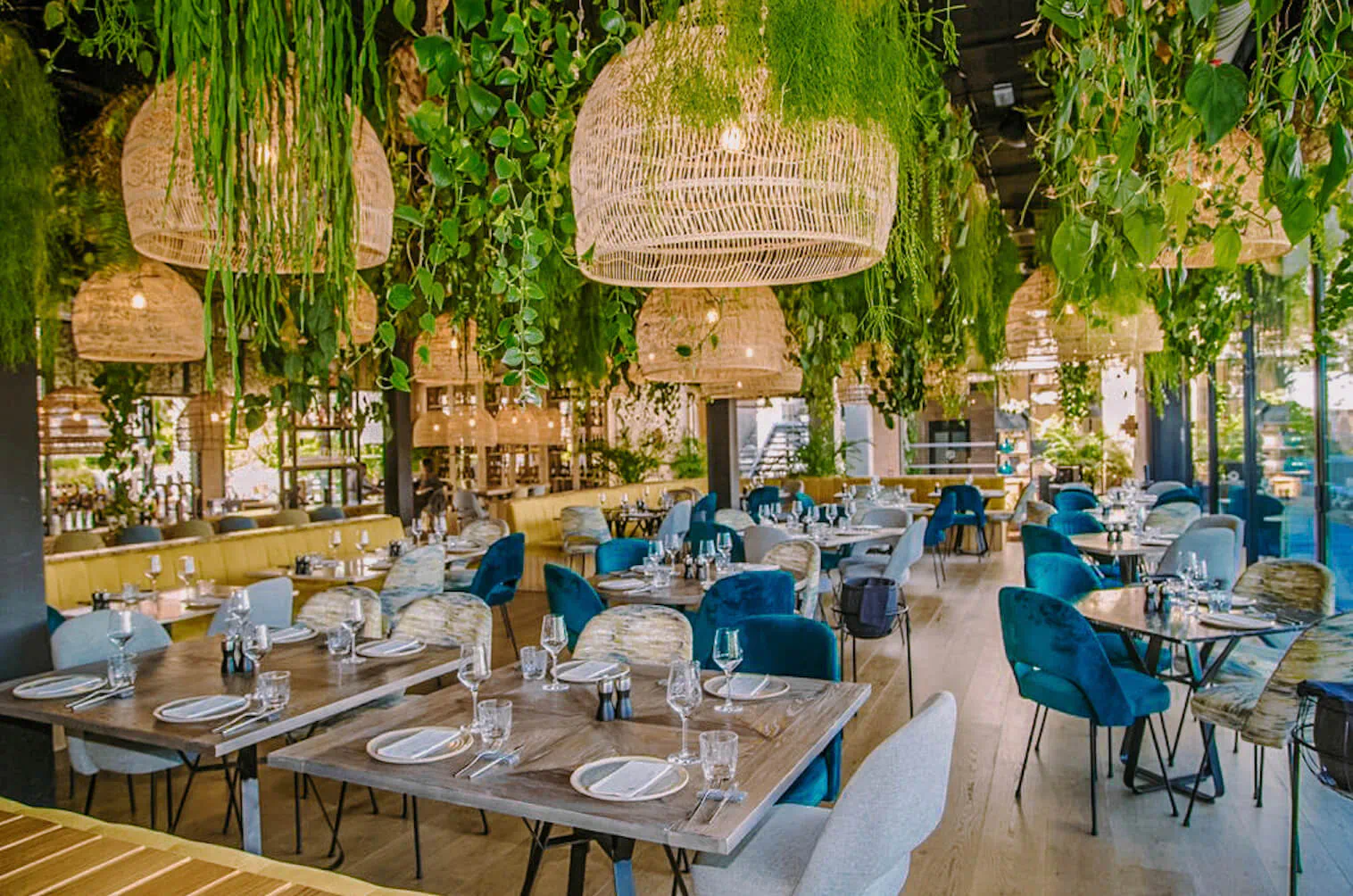 Breathe Marbella restaurant interior with lush hanging plants, woven pendant lights, and blue velvet chairs at wooden tables.