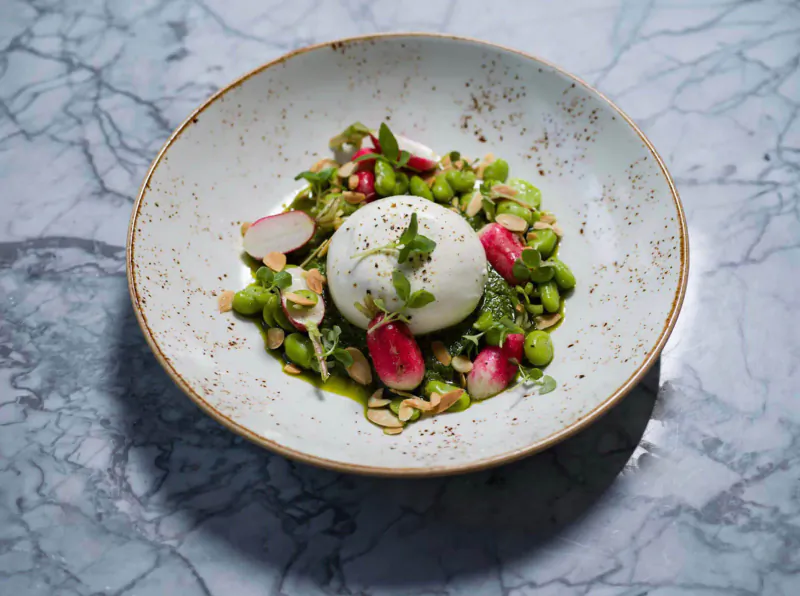 Burrata cheese topped with microgreens, radishes, peas, and almonds on a white plate on marble surface