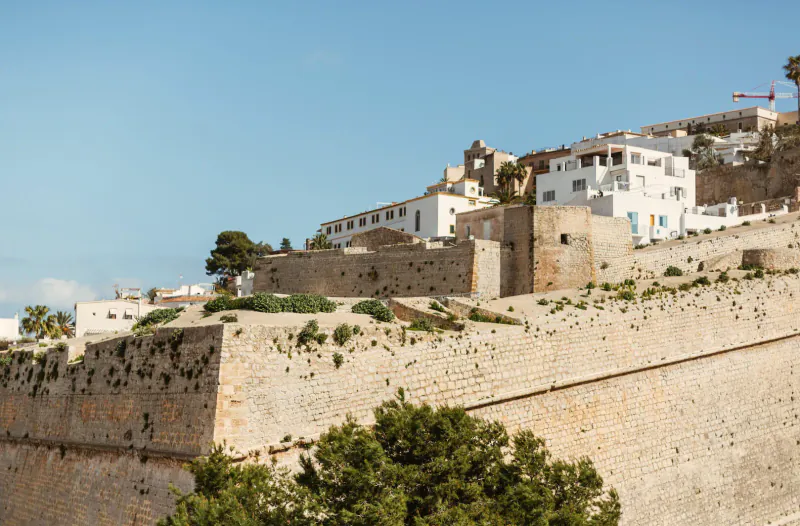 Whitewashed buildings and stone walls on a hillside in Ibiza, with palm trees and blue sky.