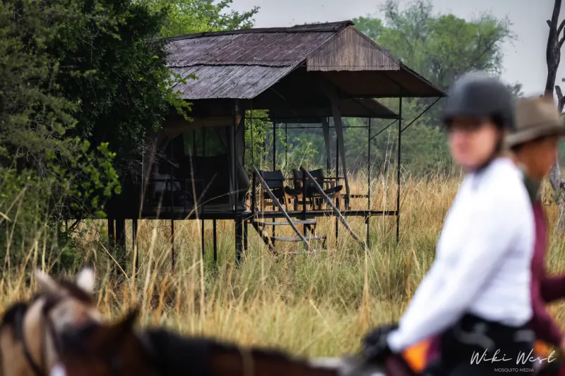 Riders on horseback in Zambian savanna approaching elevated thatched safari cabin amid grasslands.
