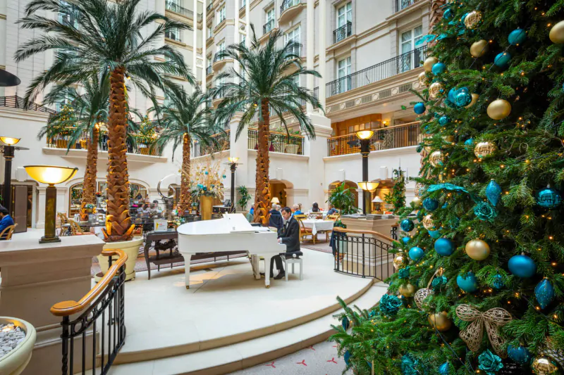 Pianist plays white grand piano in luxurious Landmark London hotel atrium with palm trees and large blue Christmas tree
