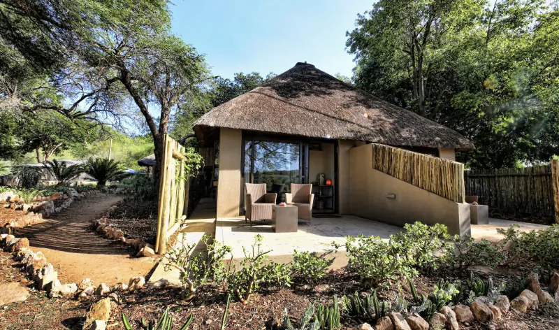 Luxury thatched bush chalet with large glass doors, outdoor seating, surrounded by lush greenery and trees under blue sky.