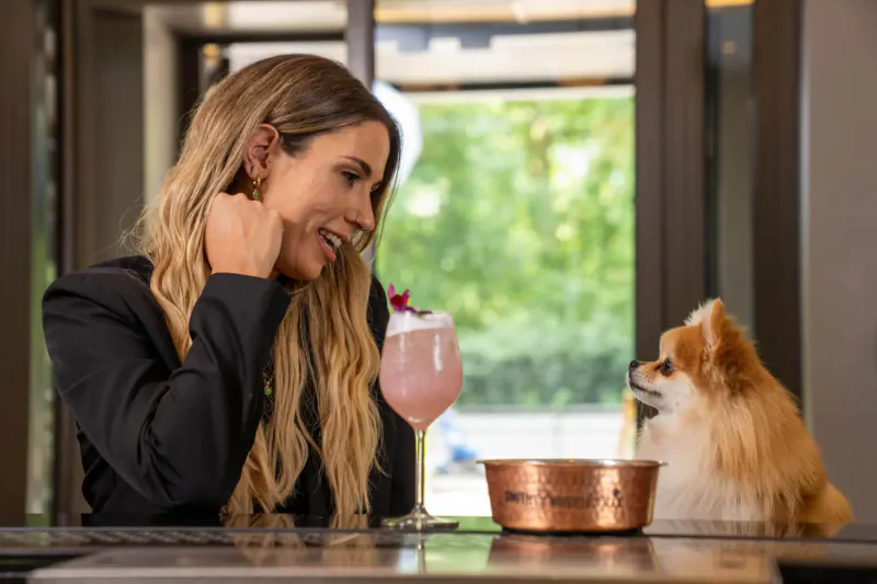 Smiling woman in black blazer holds pink cocktail with flower, sits with Pomeranian dog by copper bowl at Sheraton bar