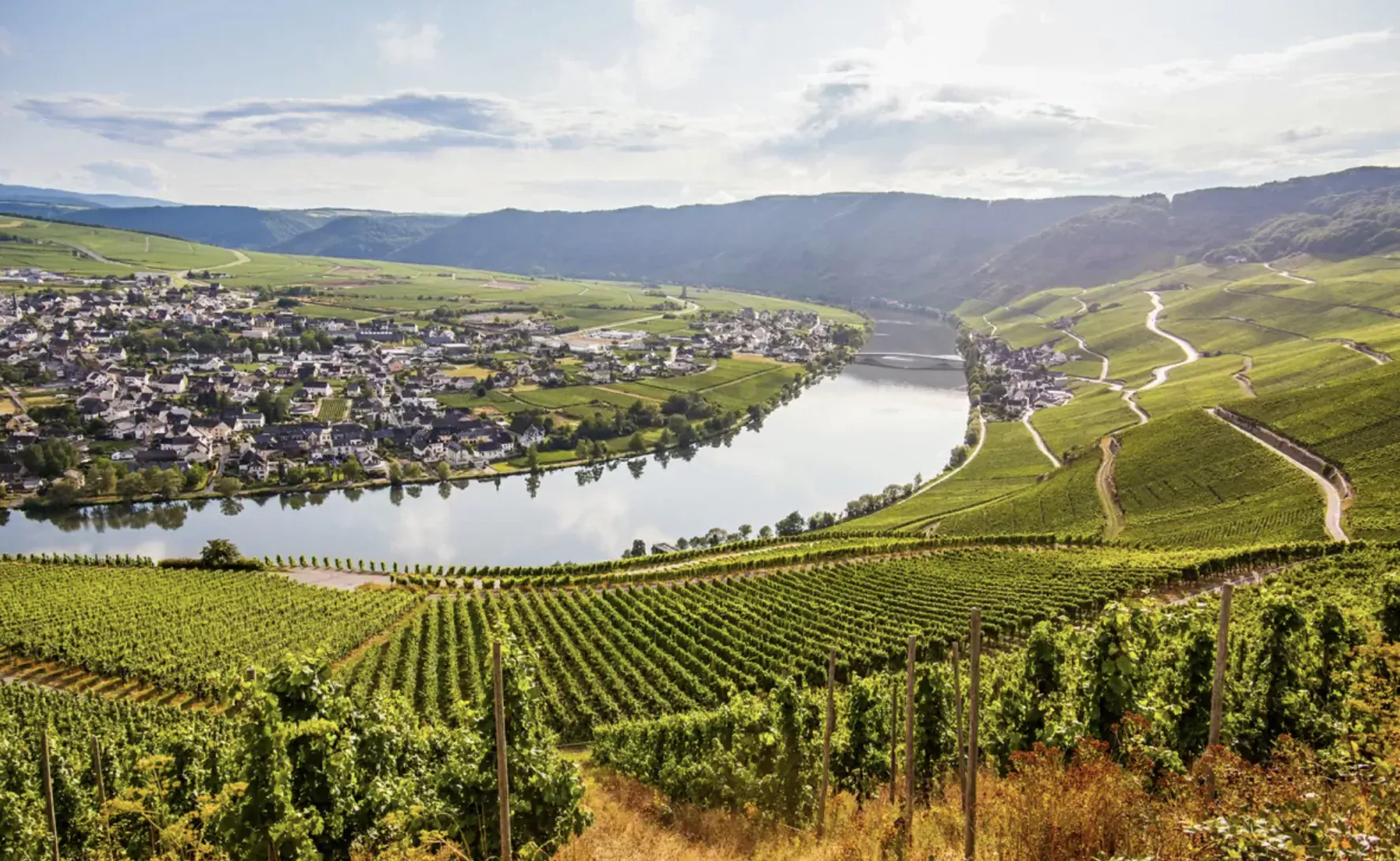 Aerial view of lush green vineyards terraced on hills along a winding river, with a quaint village nestled nearby under a partly cloudy sky.