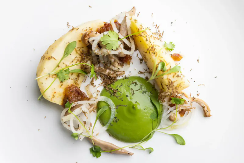 Elegant plate of pan-fried foie gras, potato puree, onions, and microgreens
