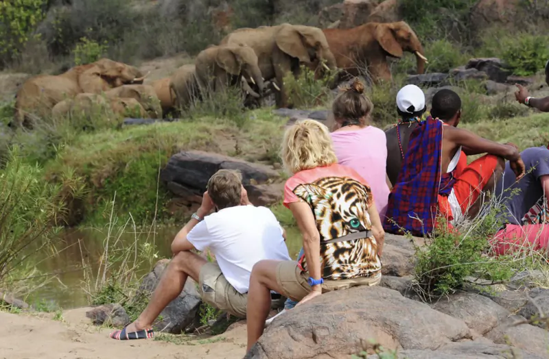 Tourists in safari attire sitting on rocks at Tumaren Camp, watching a herd of elephants by the river in Laikipia, Kenya.