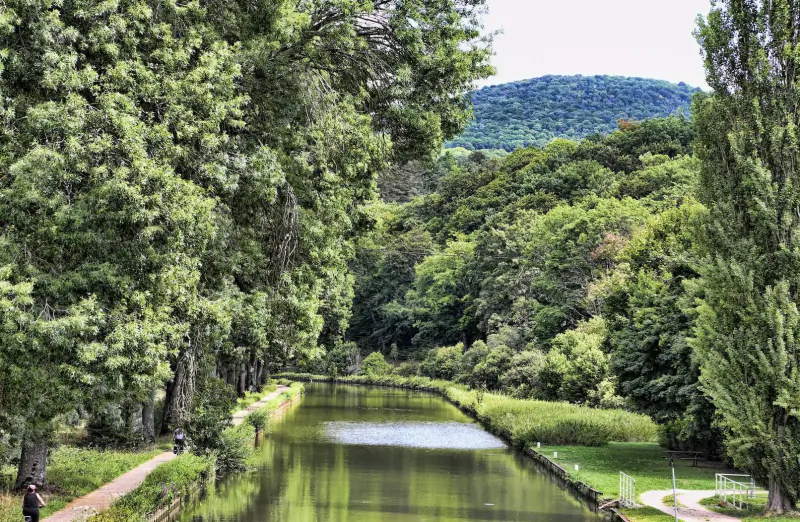 Serene tree-lined canal in Burgundy wine country with wooded hills and paths, reflecting greenery.