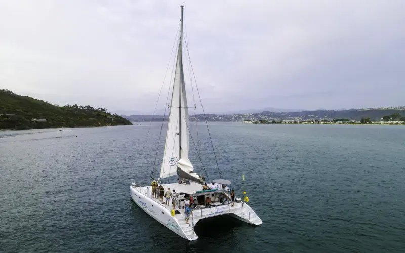 White catamaran sailboat with passengers sailing on ocean near hilly shores under cloudy sky, Cape Country Routes charter.
