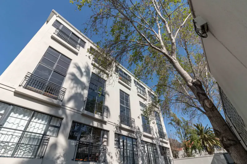 Low-angle view of Hippo Boutique Hotel's white multi-story facade with large windows, balconies, and overhanging trees under blue sky