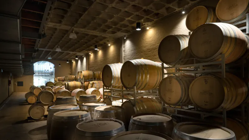 Stacked wooden wine barrels in a dimly lit winery cellar at Groot Constantia, soft lighting highlights the aged oak.