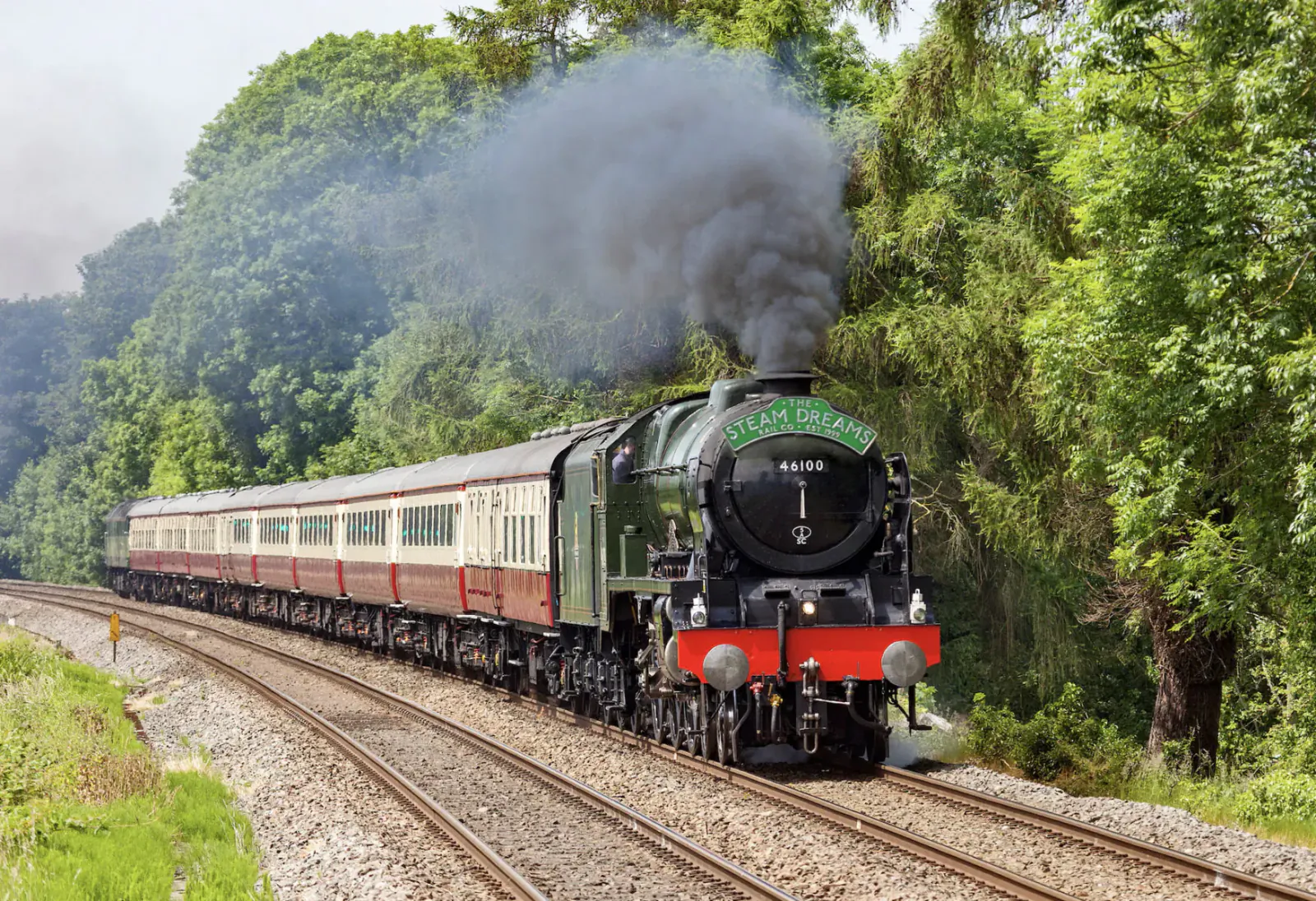 Green Steam Dreams locomotive 60007 hauling maroon coaches through wooded countryside, emitting steam.
