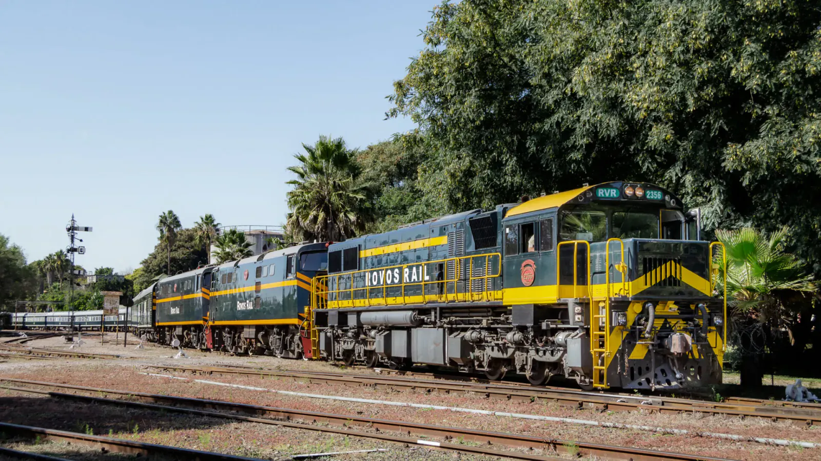 Rovos Rail blue and yellow locomotives parked on tracks amid palm trees at sunny station, South Africa.