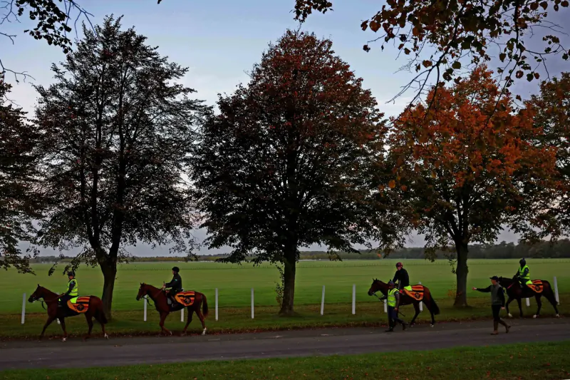 Riders in hi-vis vests on horses walking along a path by white fences and autumn trees at Tattersalls ring