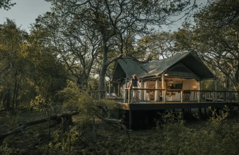 Luxury green tented safari lodge on elevated wooden deck in African savanna bush, person standing on balcony amid trees at dusk