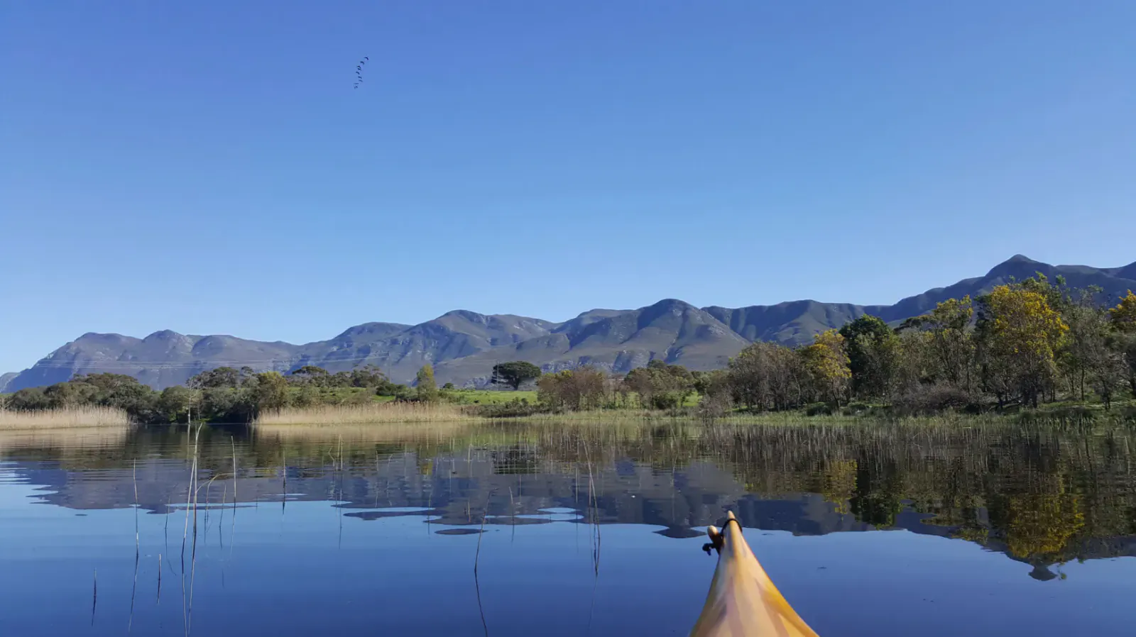 Yellow kayak on calm Klein River with reeds, yellow trees, mountains, and blue sky reflections.