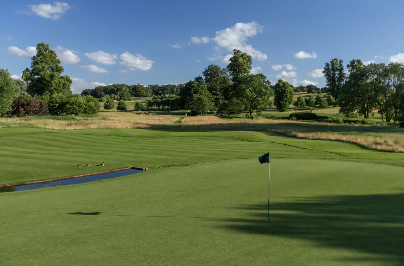 Aerial view of lush green golf course hole with flagstick, water hazard, trees, and blue sky at The Grove.