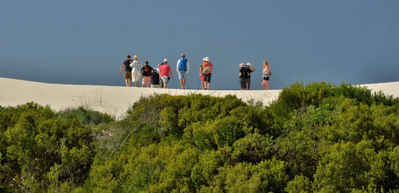Group of people standing on a high sand dune overlooking green bushes under blue sky at De Hoop Preserve