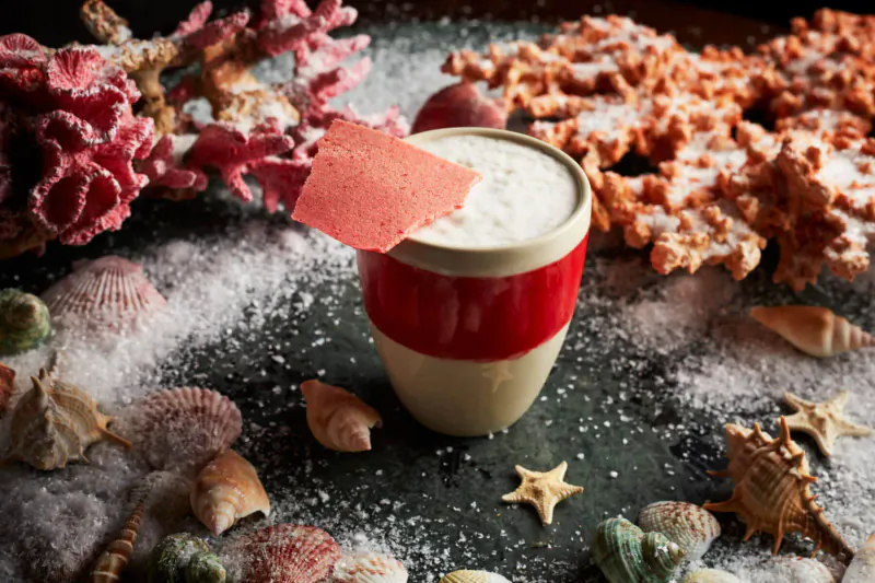 Creamy drink in red and white mug with pink tuile, surrounded by coral, shells, and sand on dark surface